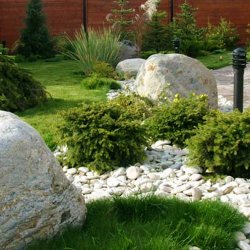 Сад камней фото